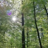 Deana - Kartenlegen & Tarot - Trennung & Scheidung - Spiritualität - Zielsetzung - Familie & Kinder